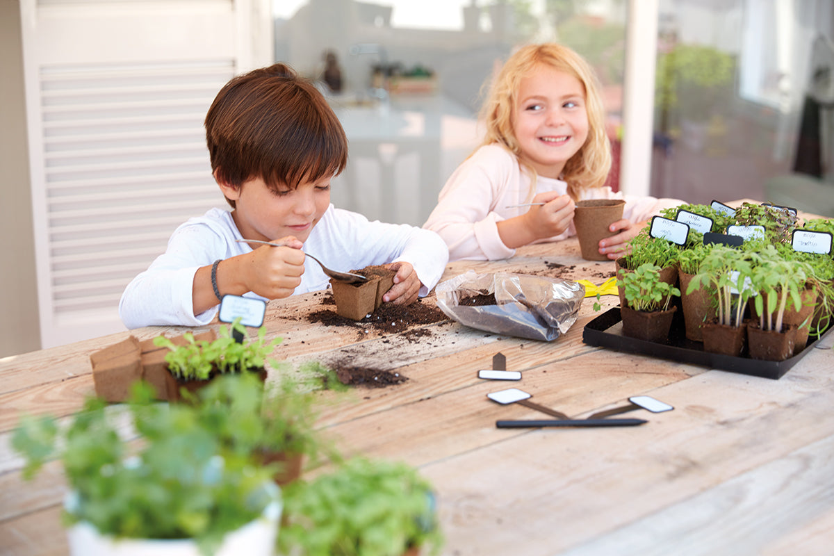 Sembra 'Sow & Grow your Own' Kits