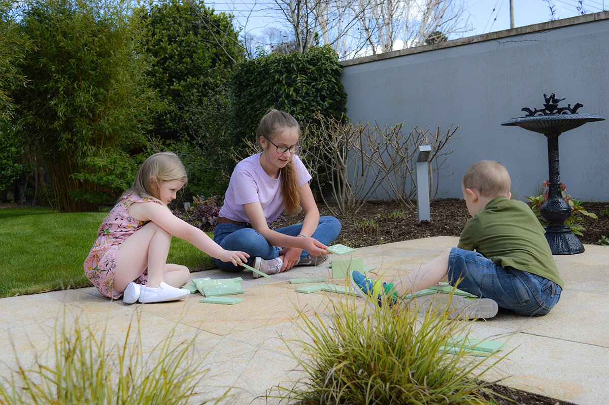 Traditional Garden Games NEW Wooden Dominoes