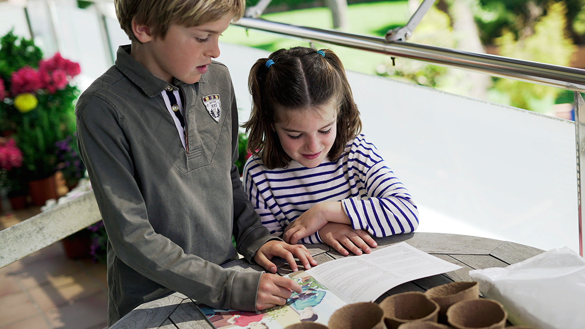 Traditional Garden Games Sembra sow and grow your own kits