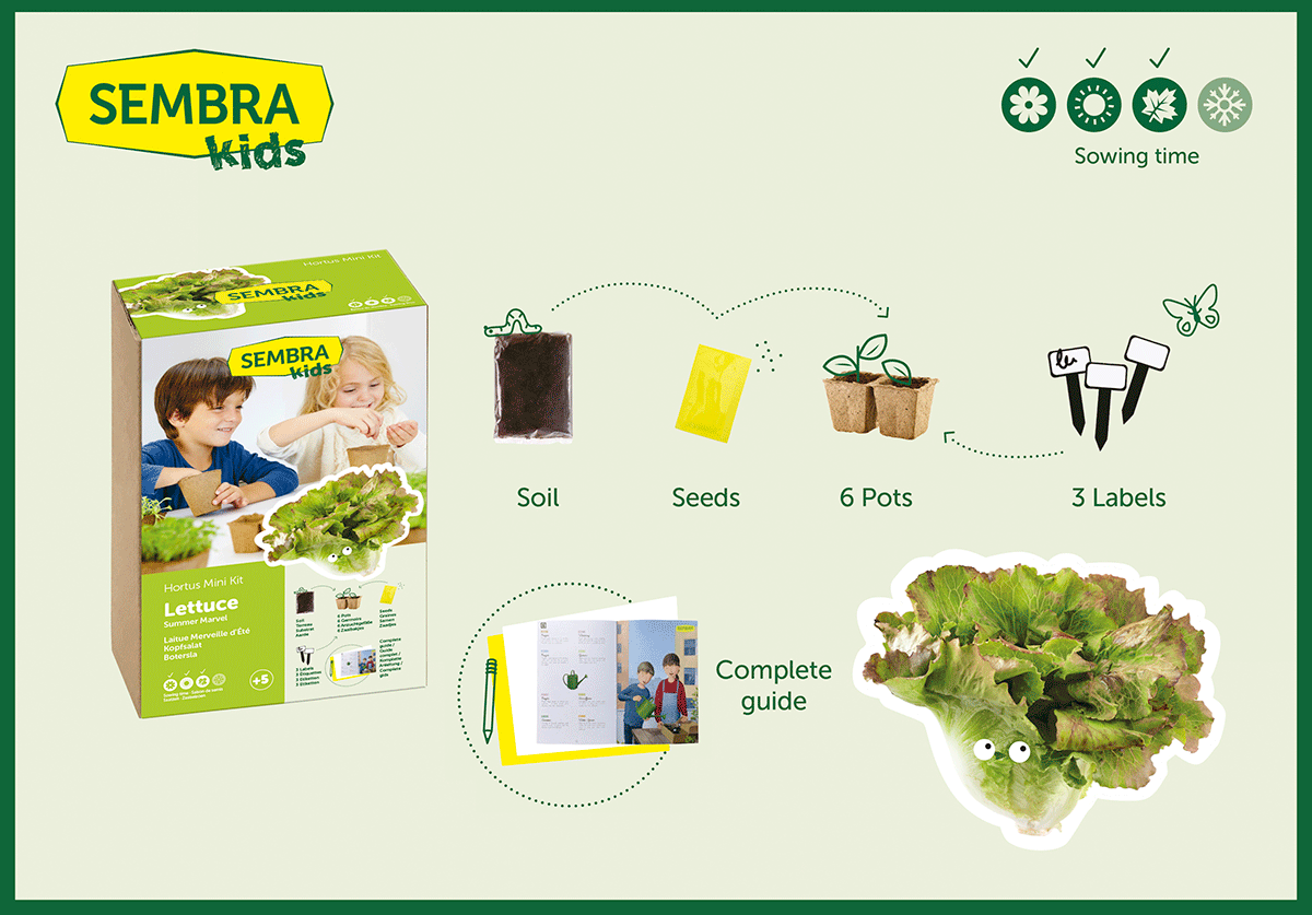 Traditional Garden Games Sembra Lettuce Kit Contents