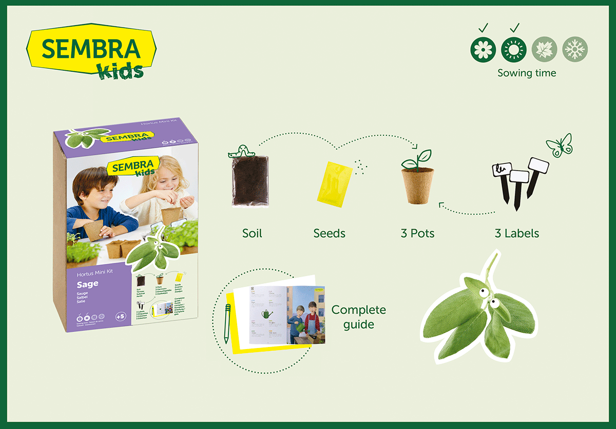 Traditional Garden Games Sembra Sage Kit
