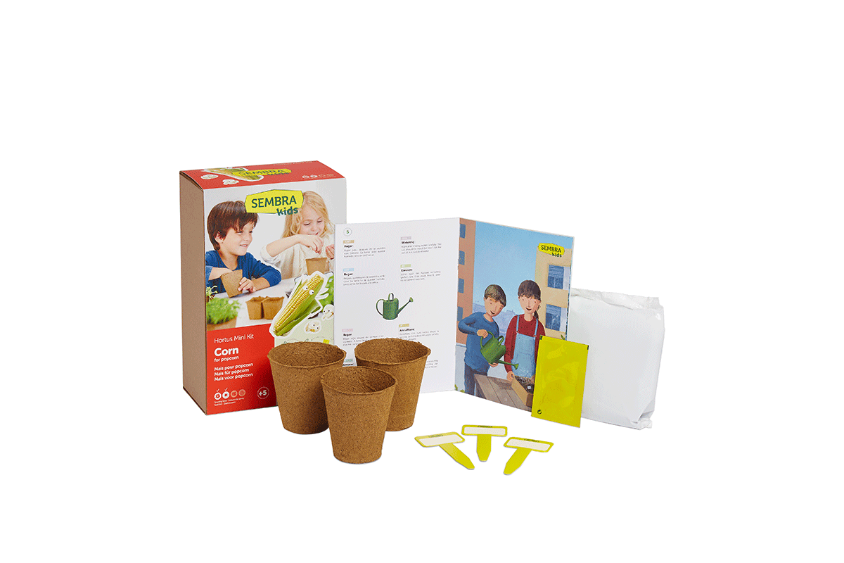 Traditional Garden Games Sembra Corn for Popcorn Kit