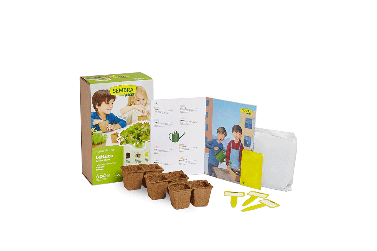 Traditional Garden Games Sembra Lettuce Kit Contents